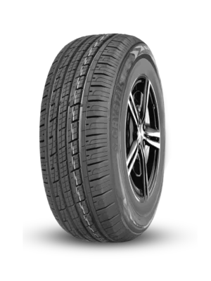 Flash | Crystal Tire | PCR